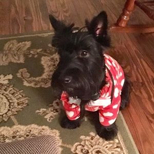 Meet your Posher, Joy